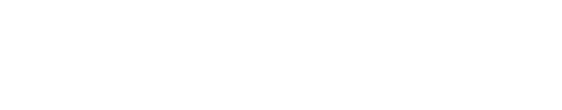 Rakas sokerini