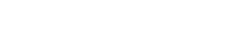 Aivan erityinen metsäsuhde