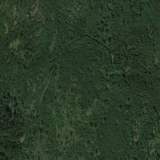 Google Earth, Image © 2025 Airbus